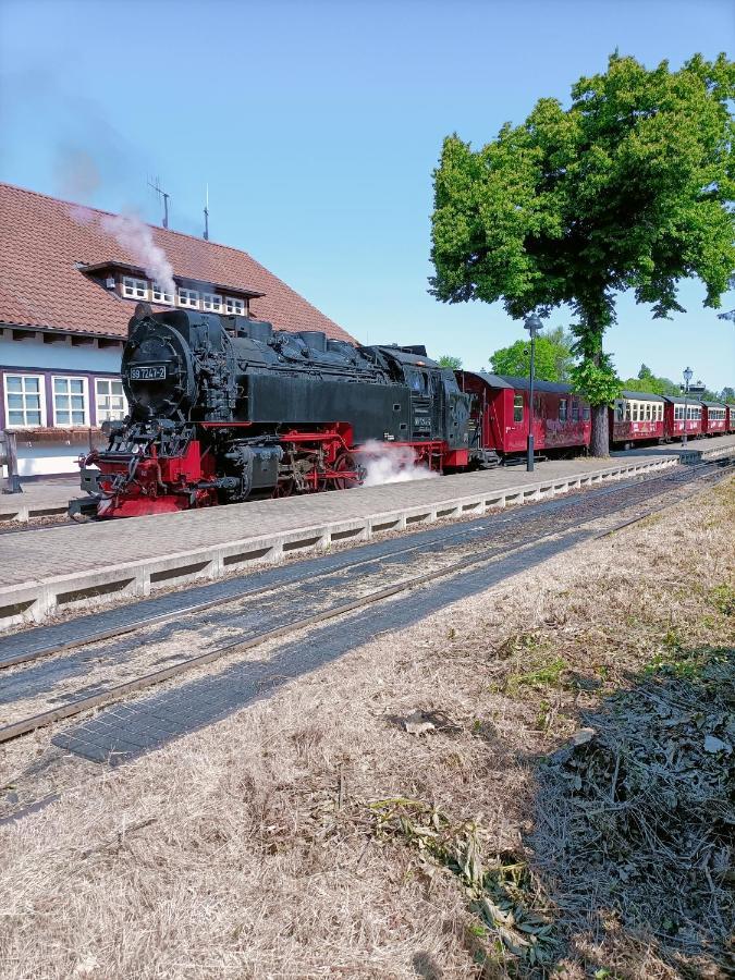 Bergsteigerbude Wernigerode Esterno foto